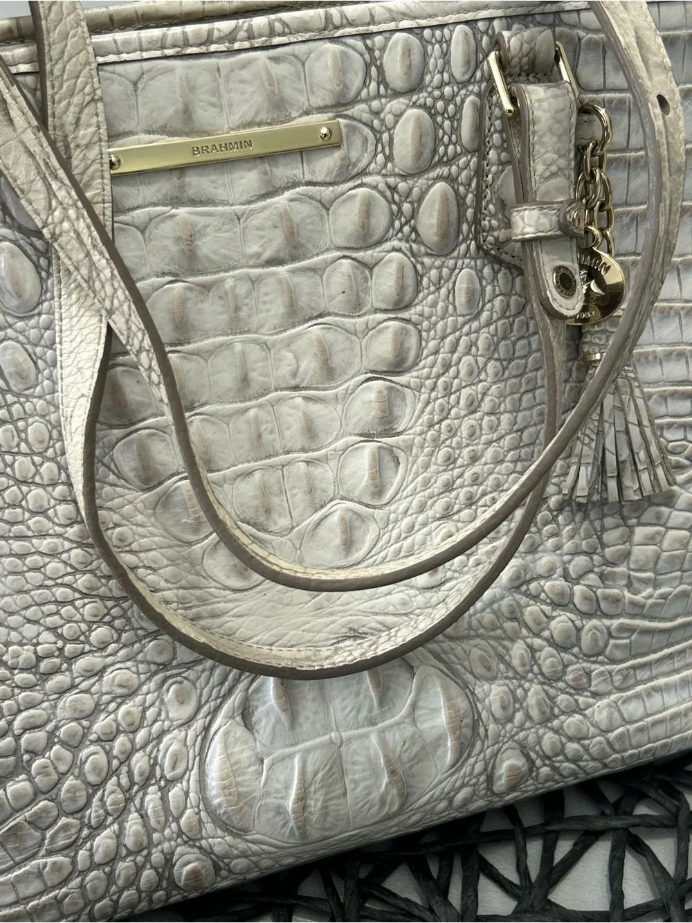 Brahmin preowned well